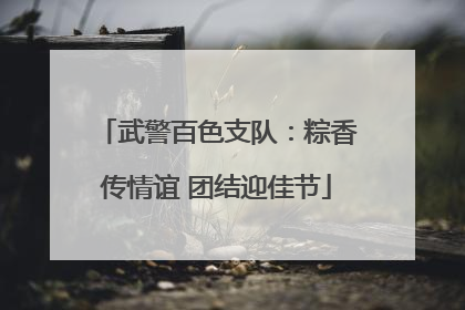 武警百色支队：粽香传情谊 团结迎佳节