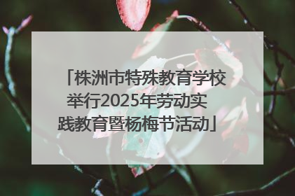 株洲市特殊教育学校举行2025年劳动实践教育暨杨梅节活动