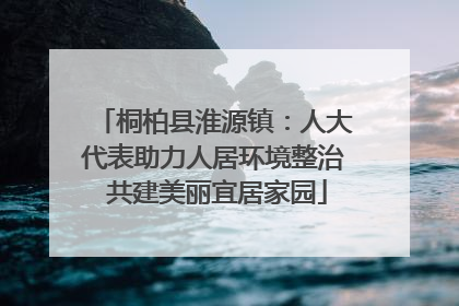桐柏县淮源镇：人大代表助力人居环境整治 共建美丽宜居家园