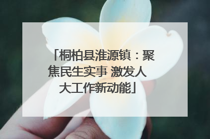 桐柏县淮源镇：聚焦民生实事 激发人大工作新动能