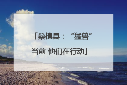 桑植县：“猛兽”当前 他们在行动