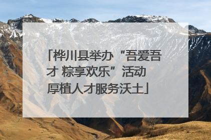 桦川县举办“吾爱吾才 粽享欢乐”活动 厚植人才服务沃土