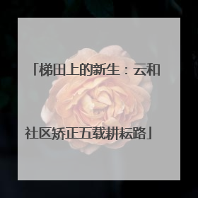 梯田上的新生：云和社区矫正五载耕耘路