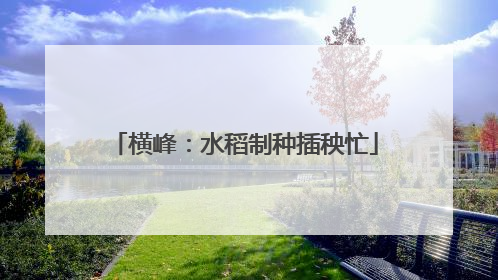 横峰：水稻制种插秧忙