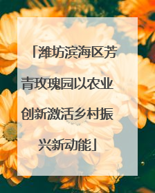 潍坊滨海区芳青玫瑰园以农业创新激活乡村振兴新动能