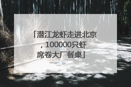 潜江龙虾走进北京，100000只虾席卷大厂餐桌