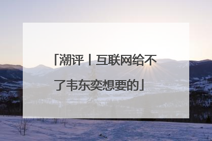潮评丨互联网给不了韦东奕想要的