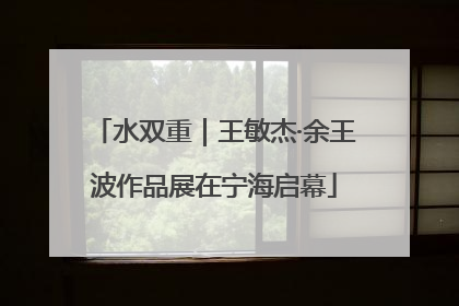 水双重｜王敏杰·余王波作品展在宁海启幕