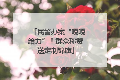 民警办案“嘎嘎给力”！群众称赞送定制锦旗
