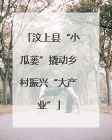 汶上县“小瓜蒌”撬动乡村振兴“大产业”