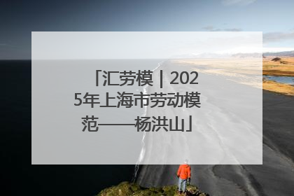 汇劳模｜2025年上海市劳动模范——杨洪山