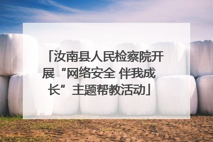 汝南县人民检察院开展“网络安全 伴我成长”主题帮教活动