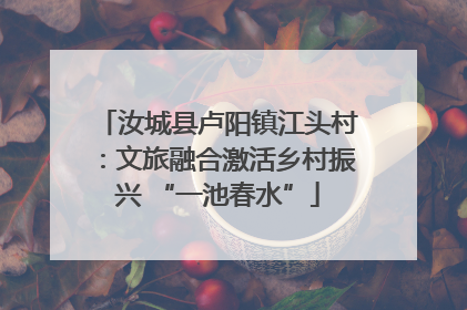 汝城县卢阳镇江头村：文旅融合激活乡村振兴 “一池春水”