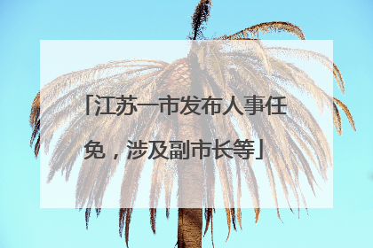 江苏一市发布人事任免，涉及副市长等