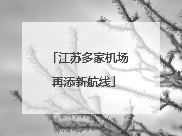 江苏多家机场再添新航线