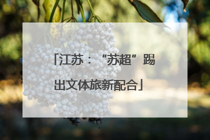 江苏：“苏超”踢出文体旅新配合