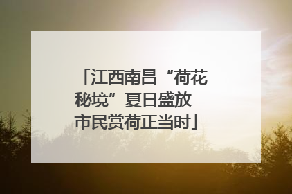 江西南昌“荷花秘境”夏日盛放 市民赏荷正当时