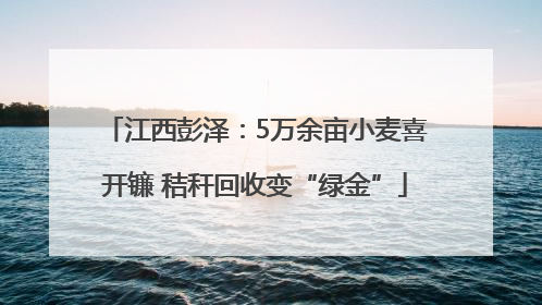 江西彭泽：5万余亩小麦喜开镰 秸秆回收变“绿金”