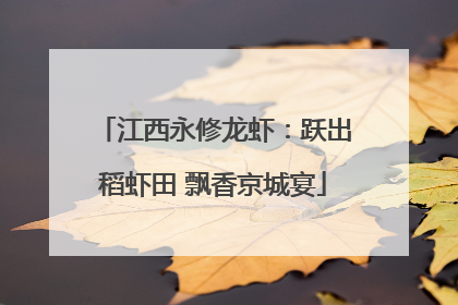 江西永修龙虾：跃出稻虾田 飘香京城宴