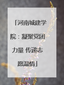 河南城建学院：凝聚党团力量 传递志愿温情