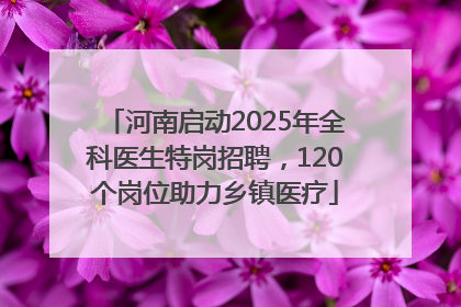 河南启动2025年全科医生特岗招聘，120个岗位助力乡镇医疗