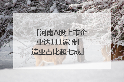 河南A股上市企业达111家 制造业占比超七成