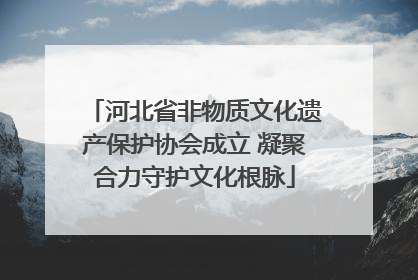 河北省非物质文化遗产保护协会成立 凝聚合力守护文化根脉