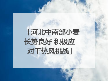 河北中南部小麦长势良好 积极应对干热风挑战