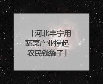 河北丰宁用蔬菜产业撑起农民钱袋子