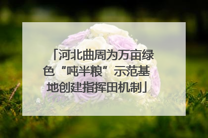 河北曲周为万亩绿色“吨半粮”示范基地创建指挥田机制