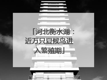 河北衡水湖：近万只夏候鸟进入繁殖期