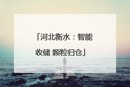 河北衡水：智能收储 颗粒归仓