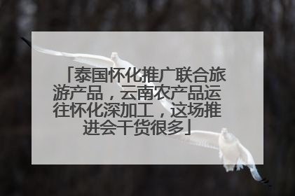泰国怀化推广联合旅游产品，云南农产品运往怀化深加工，这场推进会干货很多