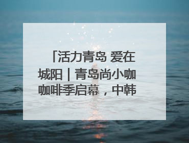 活力青岛 爱在城阳｜青岛尚小咖咖啡季启幕，中韩消费新场景点燃夏日热情