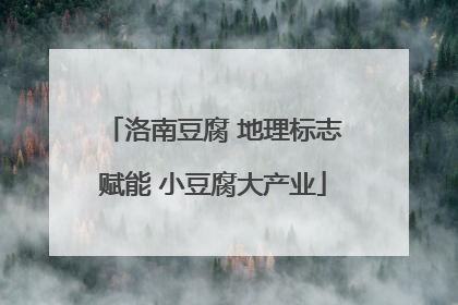 洛南豆腐 地理标志赋能 小豆腐大产业
