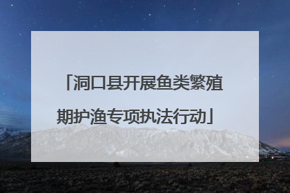 洞口县开展鱼类繁殖期护渔专项执法行动