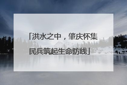 洪水之中，肇庆怀集民兵筑起生命防线