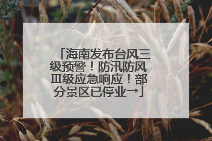 海南发布台风三级预警！防汛防风Ⅲ级应急响应！部分景区已停业→