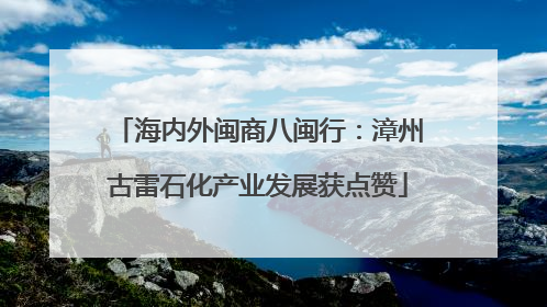 海内外闽商八闽行：漳州古雷石化产业发展获点赞
