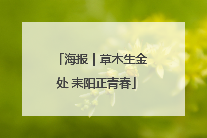 海报｜草木生金处 耒阳正青春