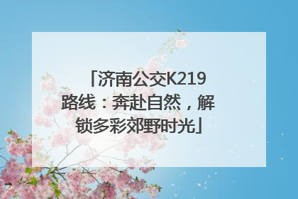 济南公交K219路线：奔赴自然，解锁多彩郊野时光