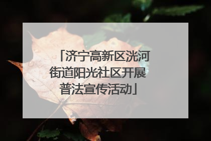 济宁高新区洸河街道阳光社区开展普法宣传活动