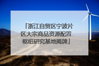 浙江自贸区宁波片区大宗商品资源配置枢纽研究基地揭牌