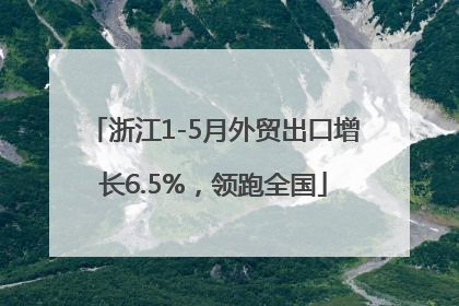 浙江1-5月外贸出口增长6.5%，领跑全国