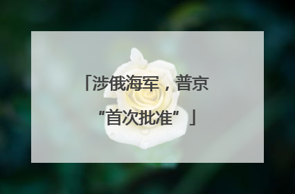 涉俄海军，普京“首次批准”