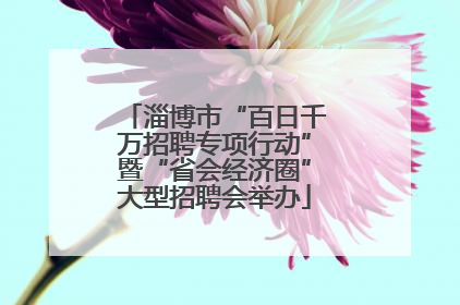 淄博市“百日千万招聘专项行动”暨“省会经济圈”大型招聘会举办