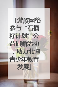游族网络参与“石榴籽计划”公益捐赠活动，助力北疆青少年教育发展