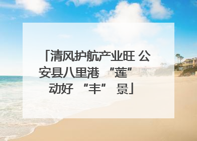 清风护航产业旺 公安县八里港 “莲” 动好 “丰” 景