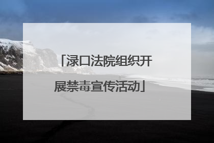 渌口法院组织开展禁毒宣传活动