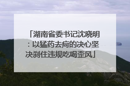 湖南省委书记沈晓明：以猛药去疴的决心坚决刹住违规吃喝歪风